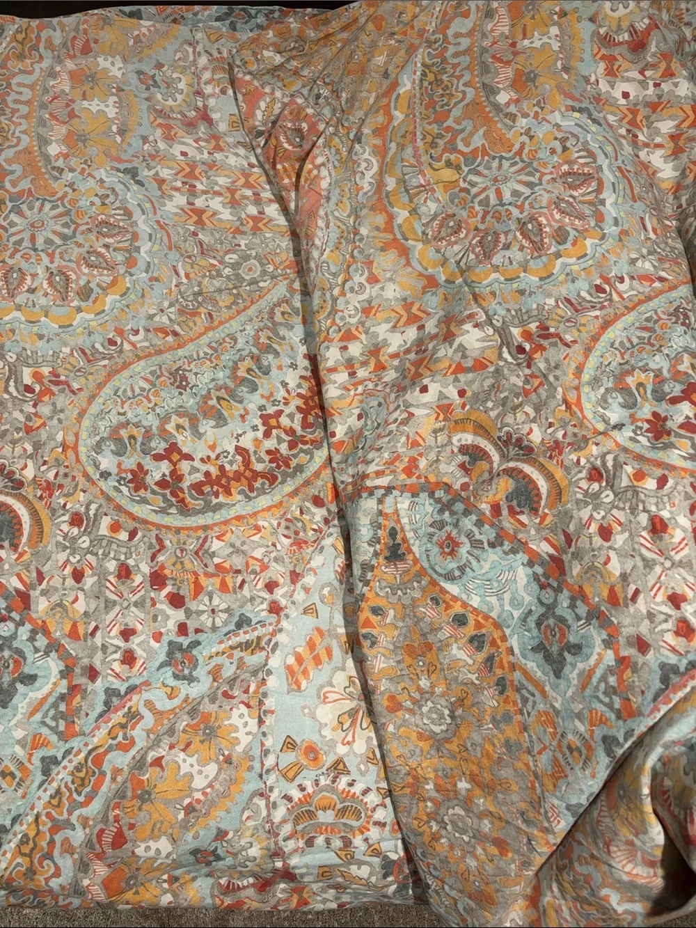 Pottery Barn Paloma Paisley Duvet Cover California King Discontinued